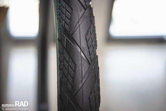 Schwalbe 2026-24