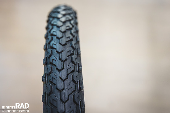 Schwalbe 2026-21