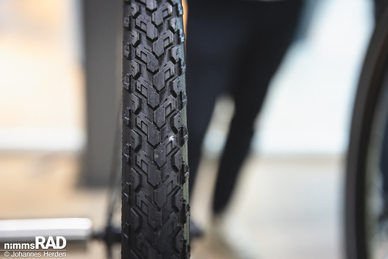Schwalbe 2026-19