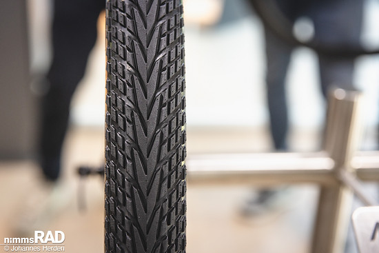 Schwalbe 2026-18