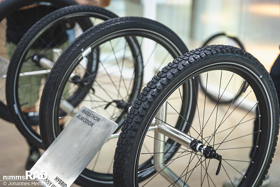 Schwalbe 2026-12