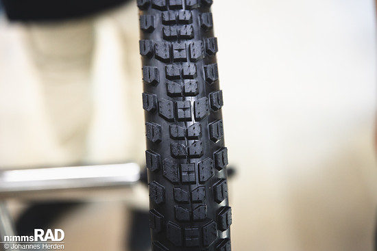 Schwalbe 2026-11