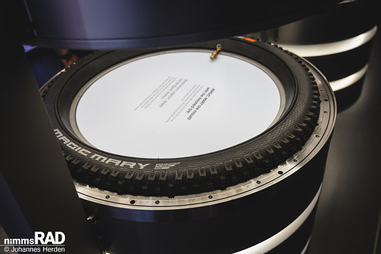 Schwalbe 2026-9